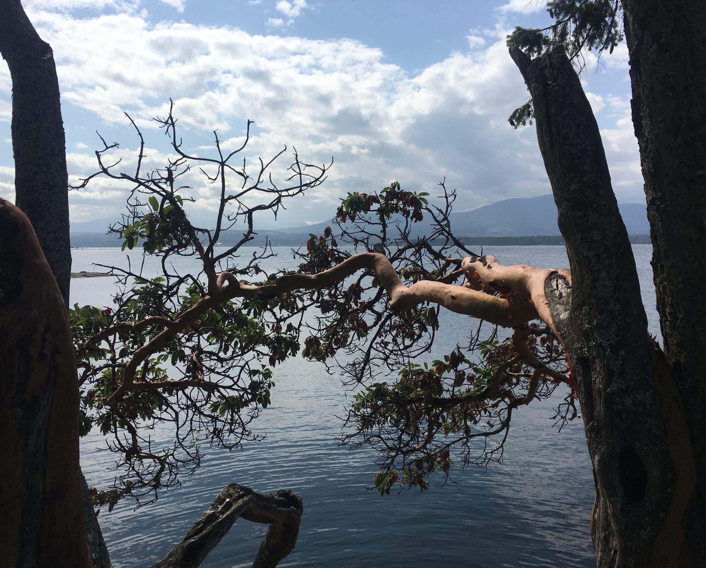 Un petit moment de tranquillité à "the Haven" sur l'île de Gabriola en Colombie-Britannique, Canada